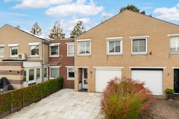 De wervel 38-2-1.jpg